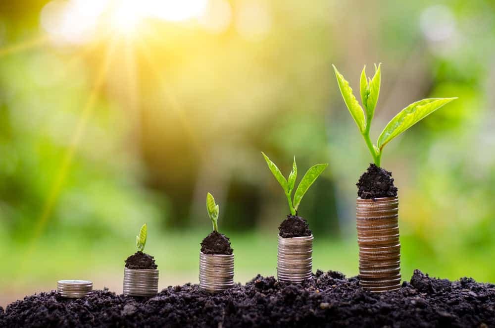 Jak začít investovat: Jaký jste typ investora a do čeho vložit své peníze?
